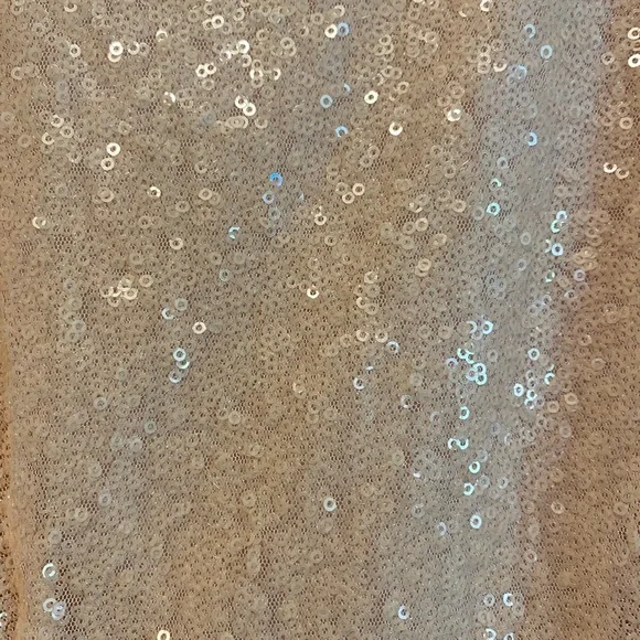 Forever 21 Sparkle Dress - Picture 3 of 9